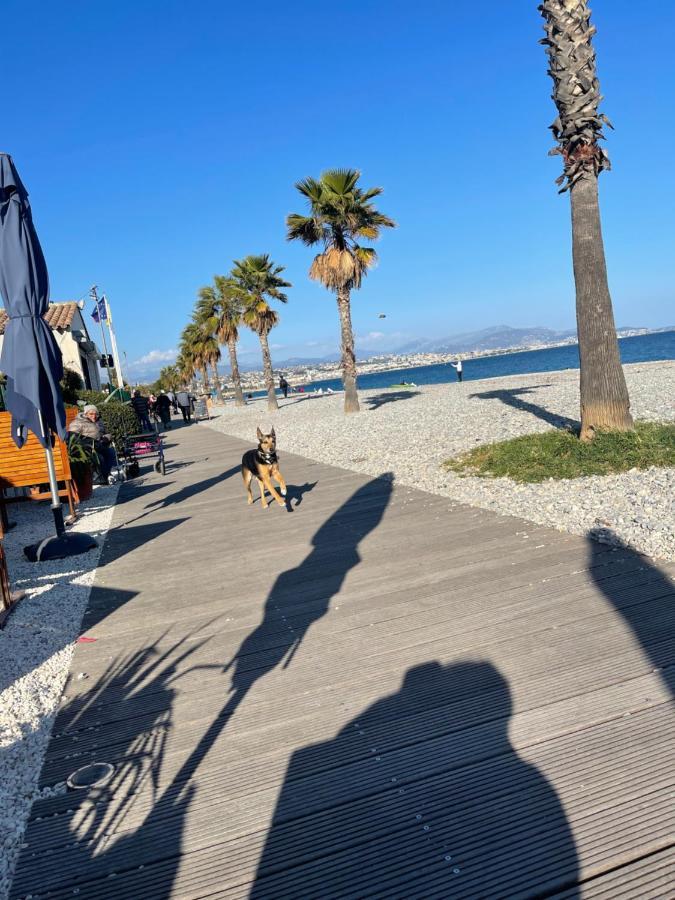 Villeneuve Loubet Plage- Entre Nice Et Cannes 외부 사진