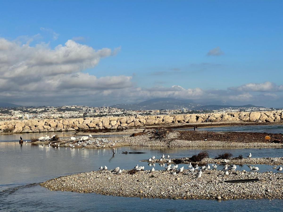 Villeneuve Loubet Plage- Entre Nice Et Cannes 외부 사진