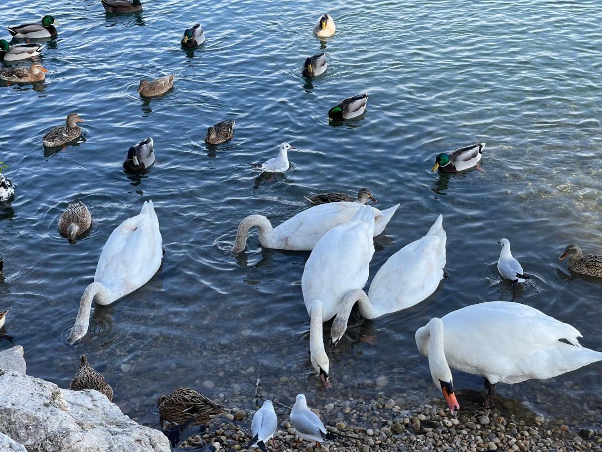 Villeneuve Loubet Plage- Entre Nice Et Cannes 외부 사진