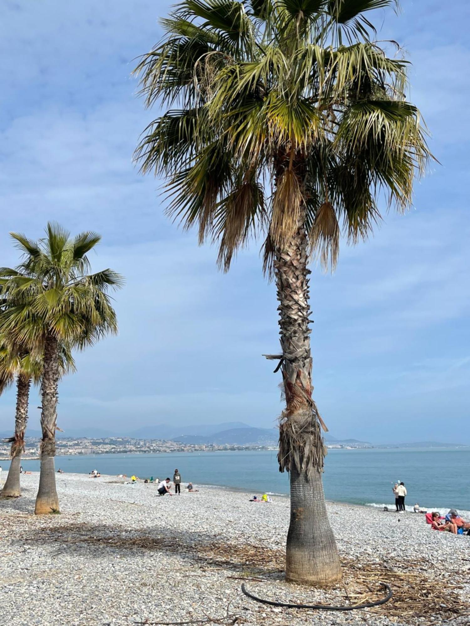 Villeneuve Loubet Plage- Entre Nice Et Cannes 외부 사진
