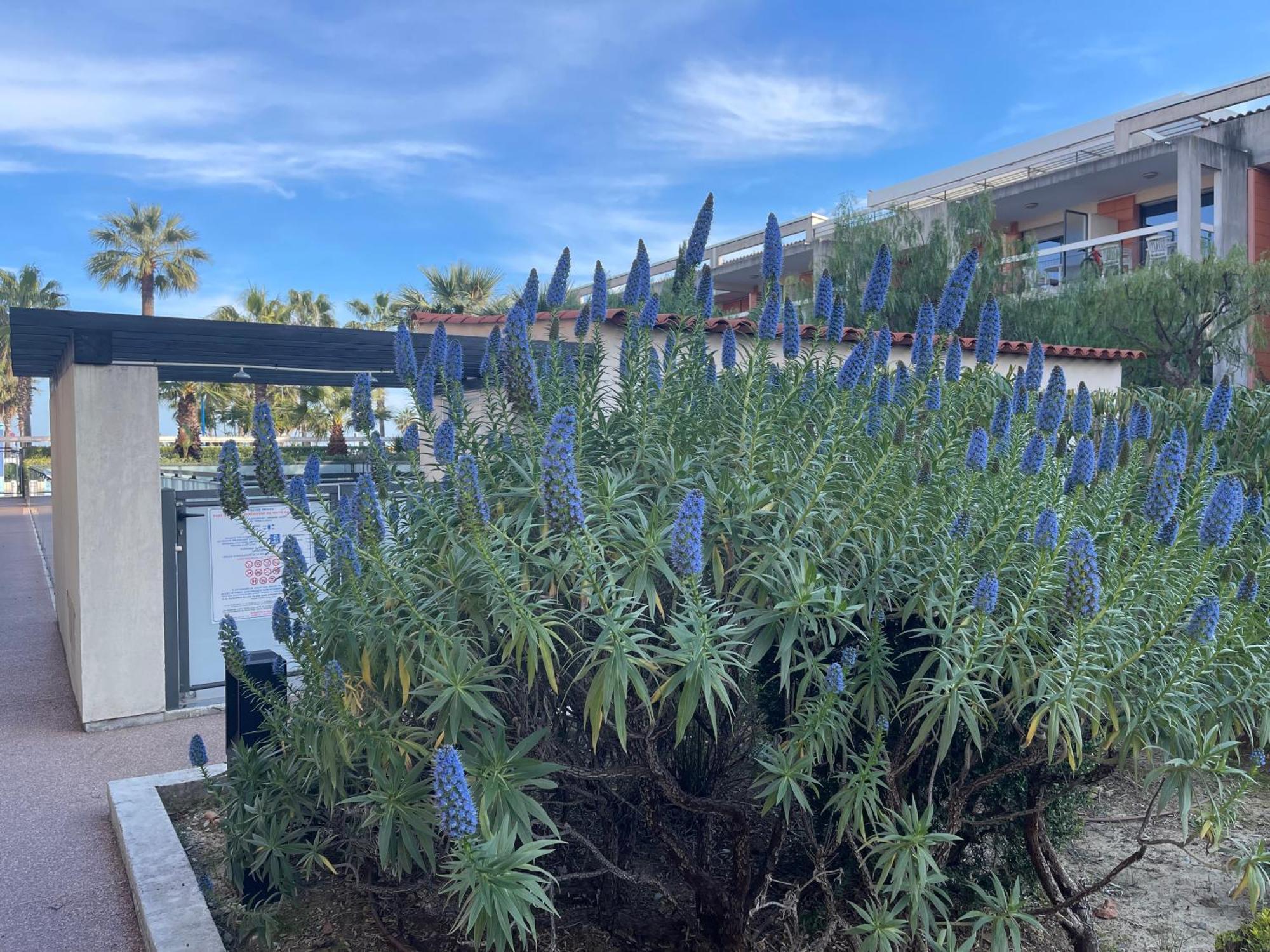 Villeneuve Loubet Plage- Entre Nice Et Cannes 외부 사진