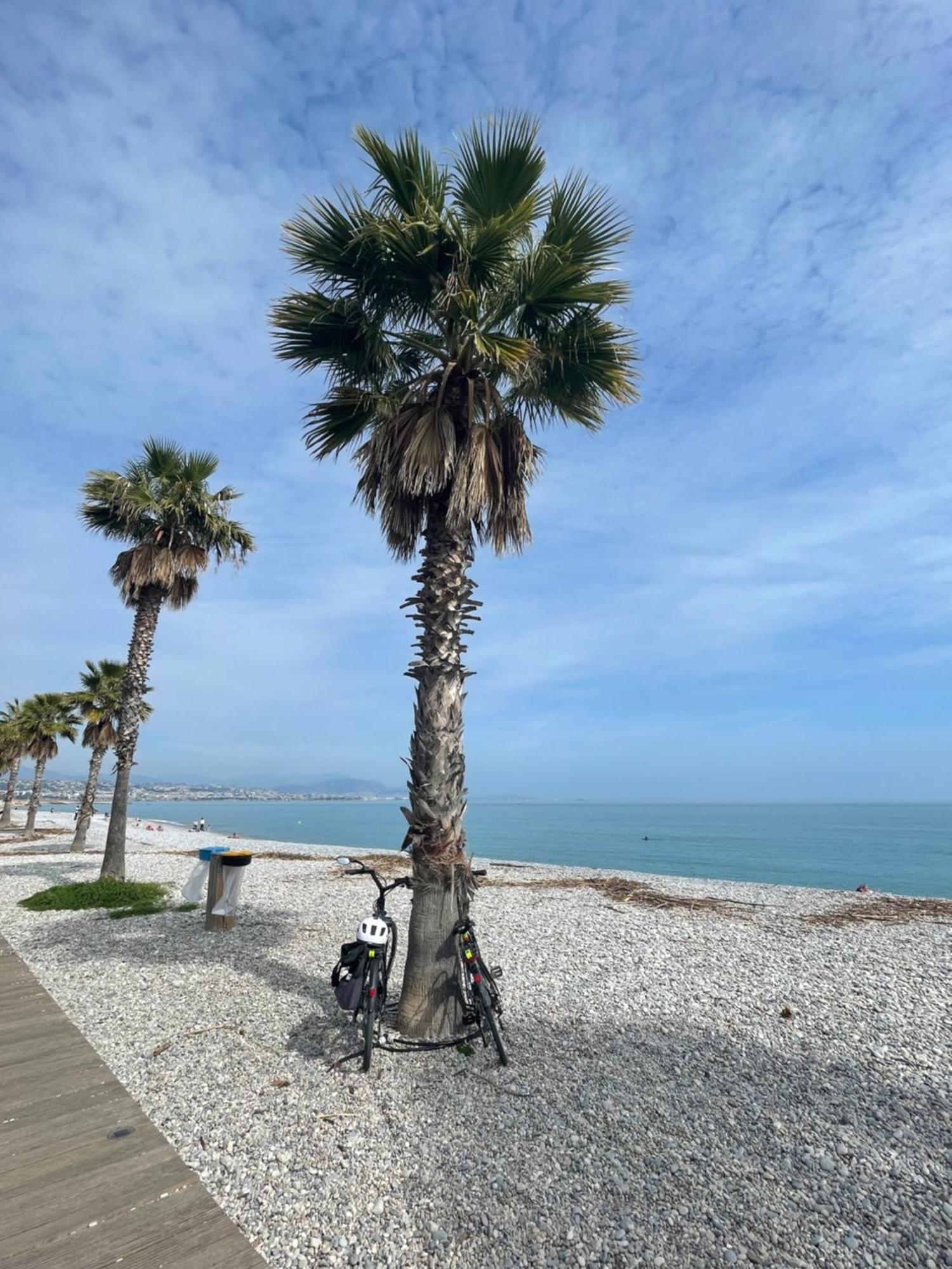 Villeneuve Loubet Plage- Entre Nice Et Cannes 외부 사진