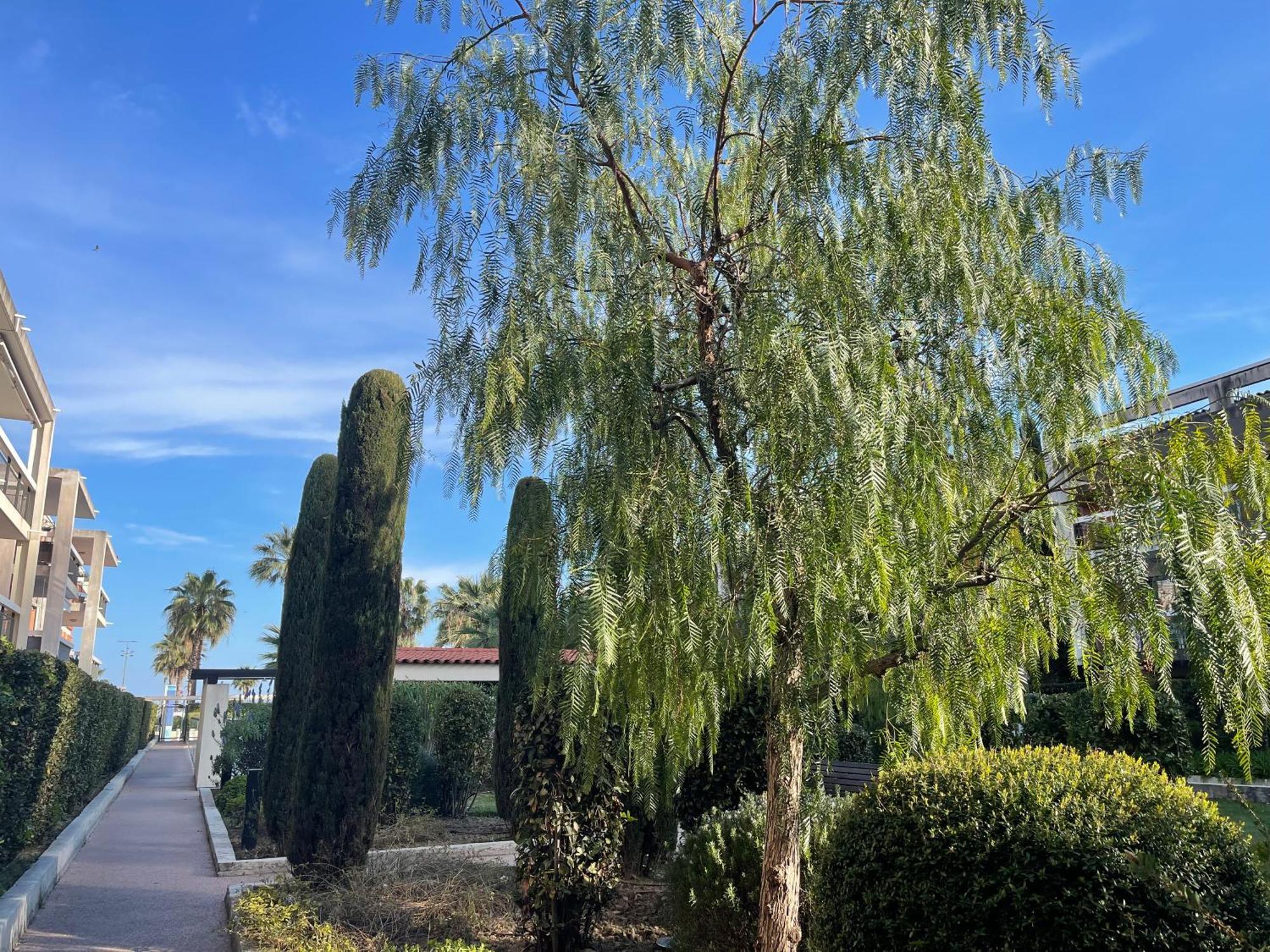 Villeneuve Loubet Plage- Entre Nice Et Cannes 외부 사진