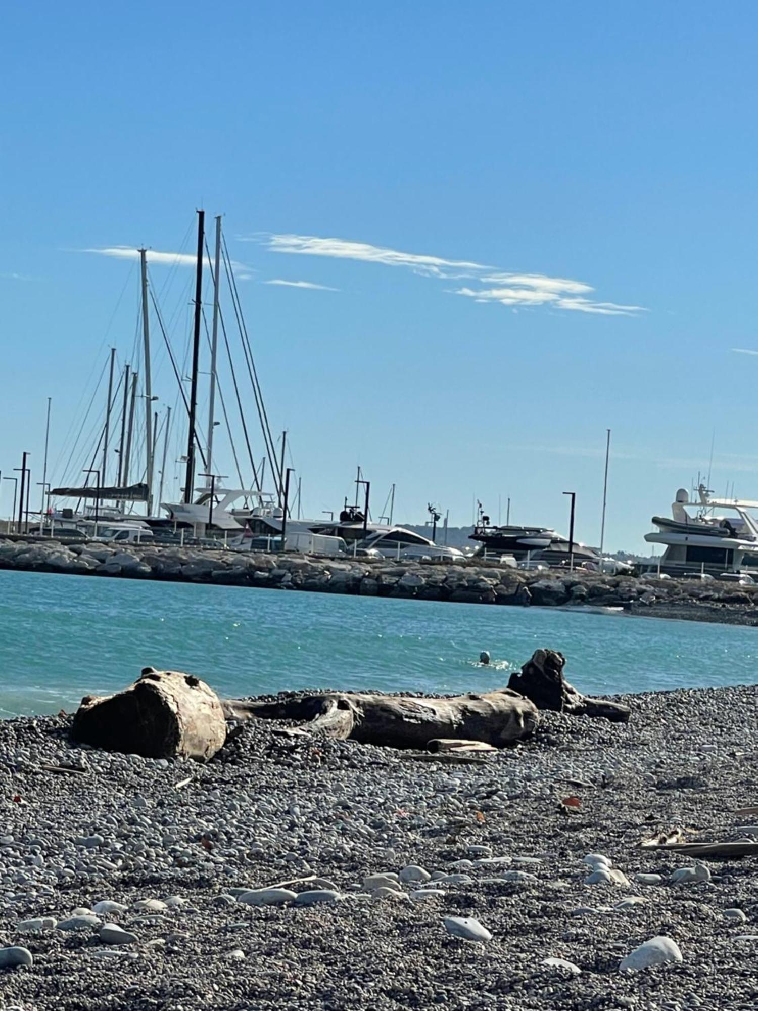 Villeneuve Loubet Plage- Entre Nice Et Cannes 외부 사진
