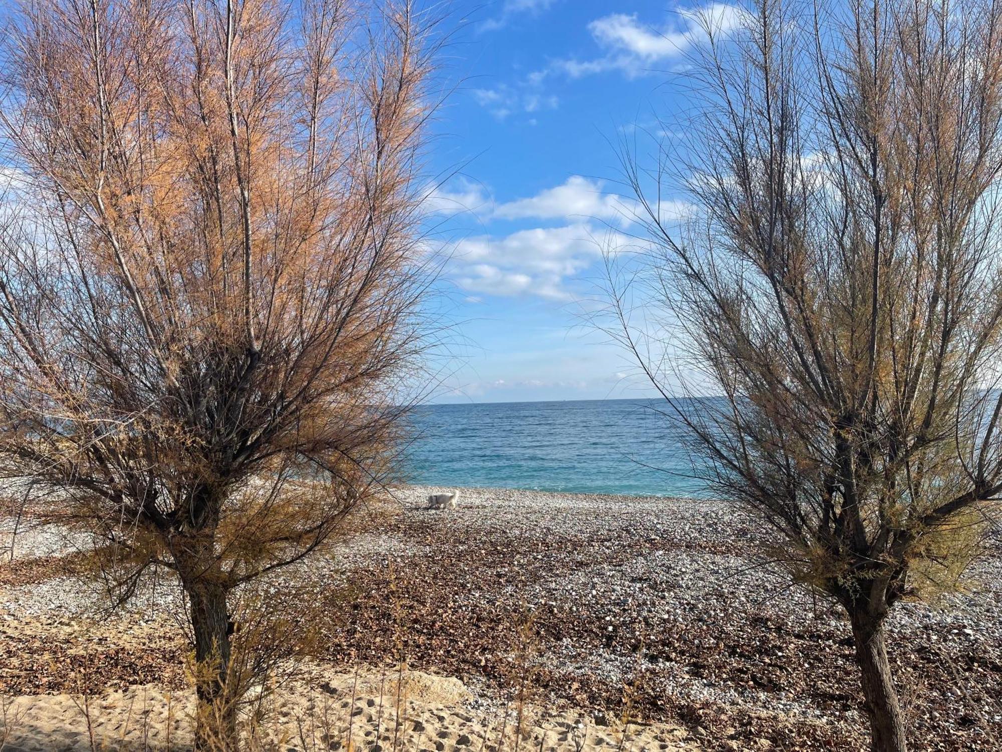 Villeneuve Loubet Plage- Entre Nice Et Cannes 외부 사진