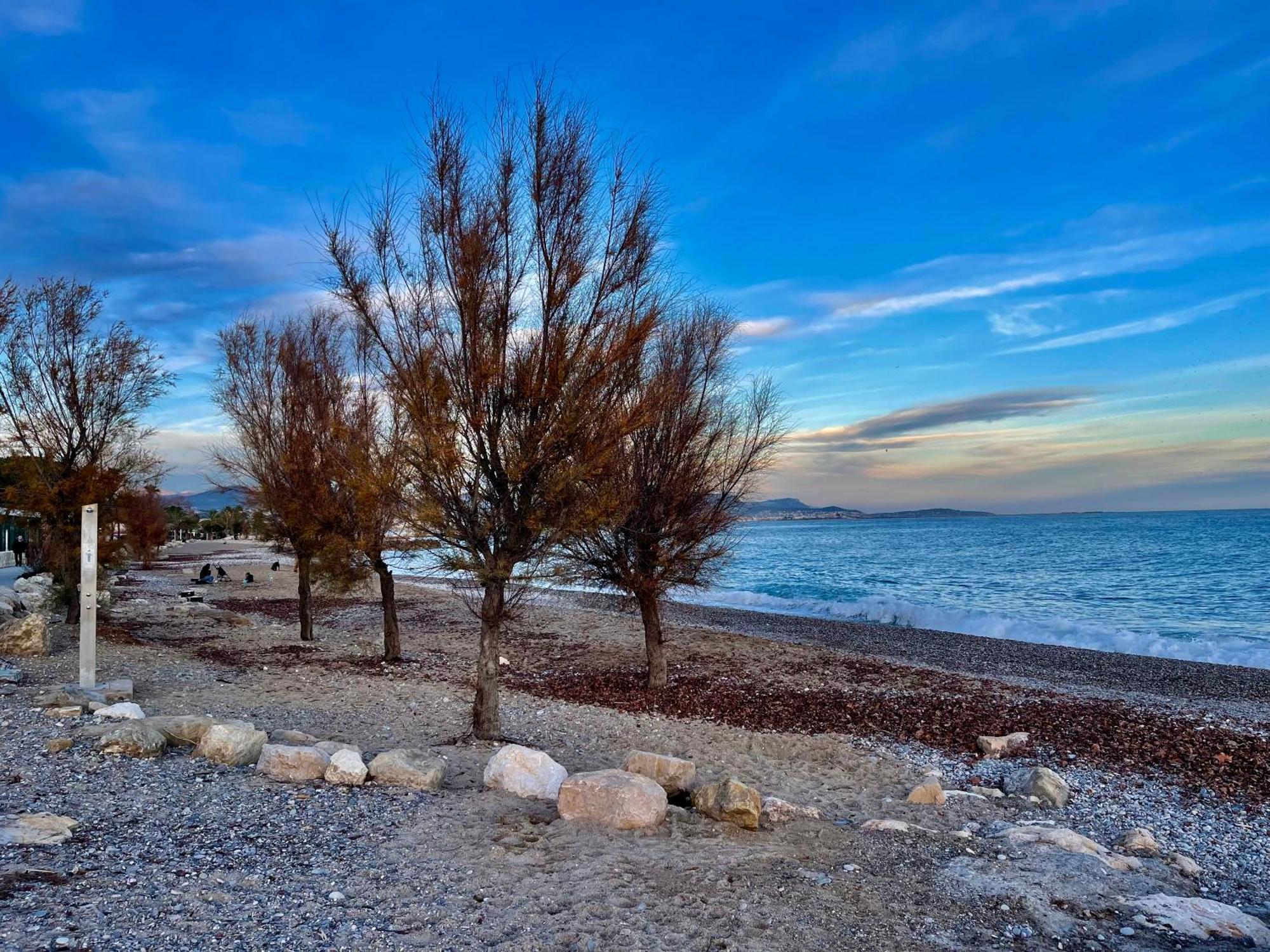 Villeneuve Loubet Plage- Entre Nice Et Cannes 외부 사진